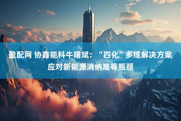 盈配网 协鑫能科牛曙斌：“四化”多维解决方案应对新能源消纳难等瓶颈