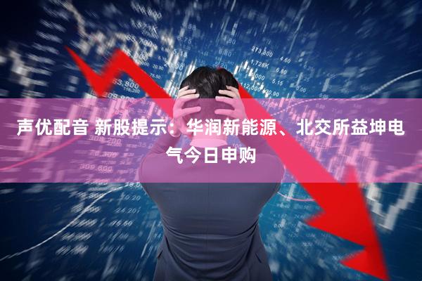 声优配音 新股提示：华润新能源、北交所益坤电气今日申购