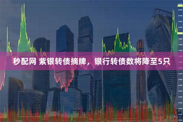 秒配网 紫银转债摘牌，银行转债数将降至5只
